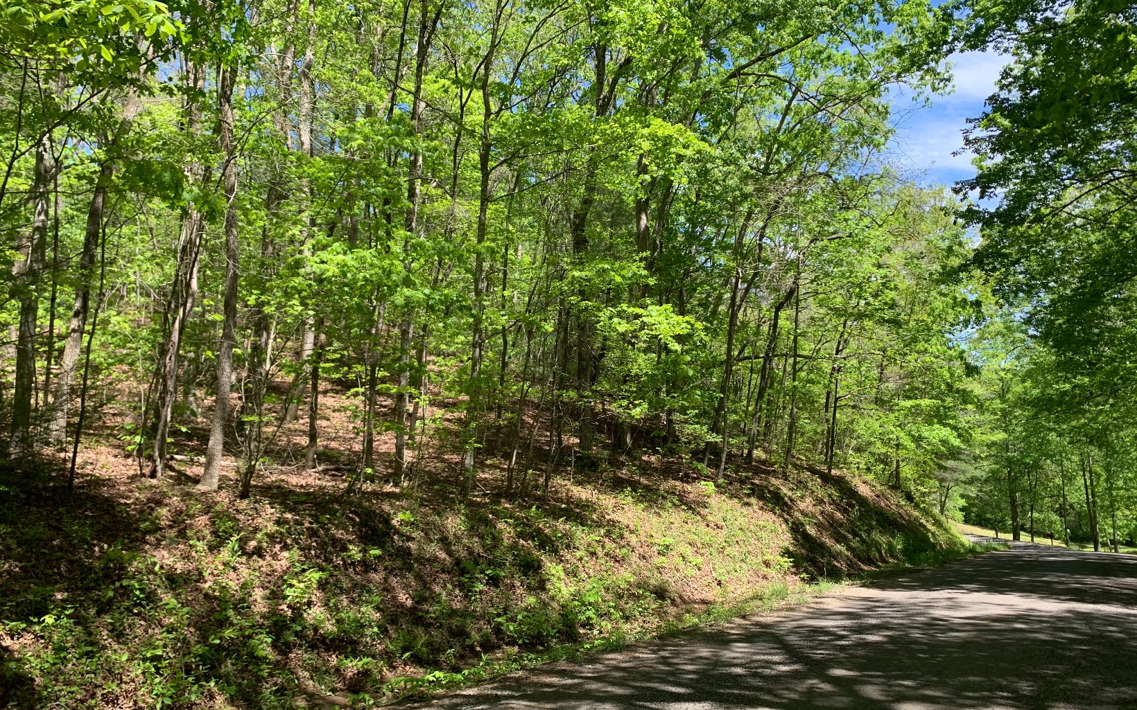 8 B Sunshine Mountain Blue Ridge, GA 30513 - Photo 1 of 1 Main View