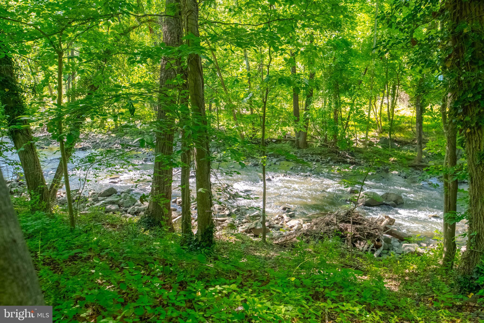 4901 Wetheredsville Road Baltimore, MD 21207 - Photo 52 of 54 Beautiful relaxing walks!