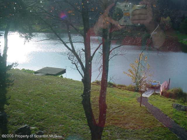 2338 Brookfield Road Lake Ariel, PA 18436 - Photo 4 of 9 a view of a yard with a tree