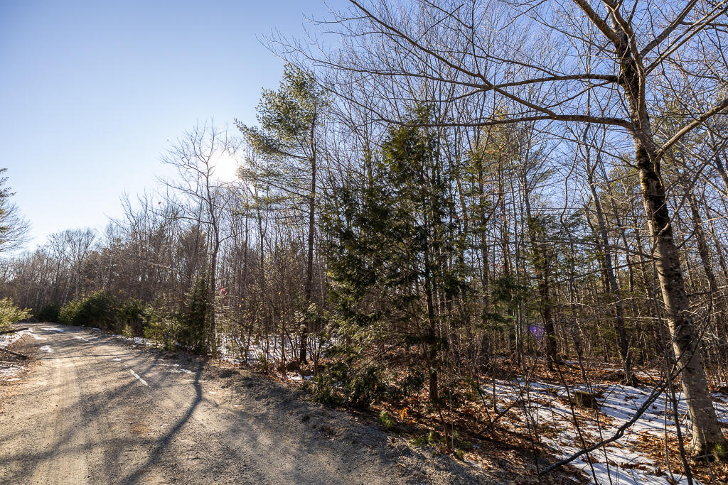 Lot 13-2 Mcgrath Pond Loop Road Belgrade, ME 04917 - Photo 21 of 21 HY3A5027