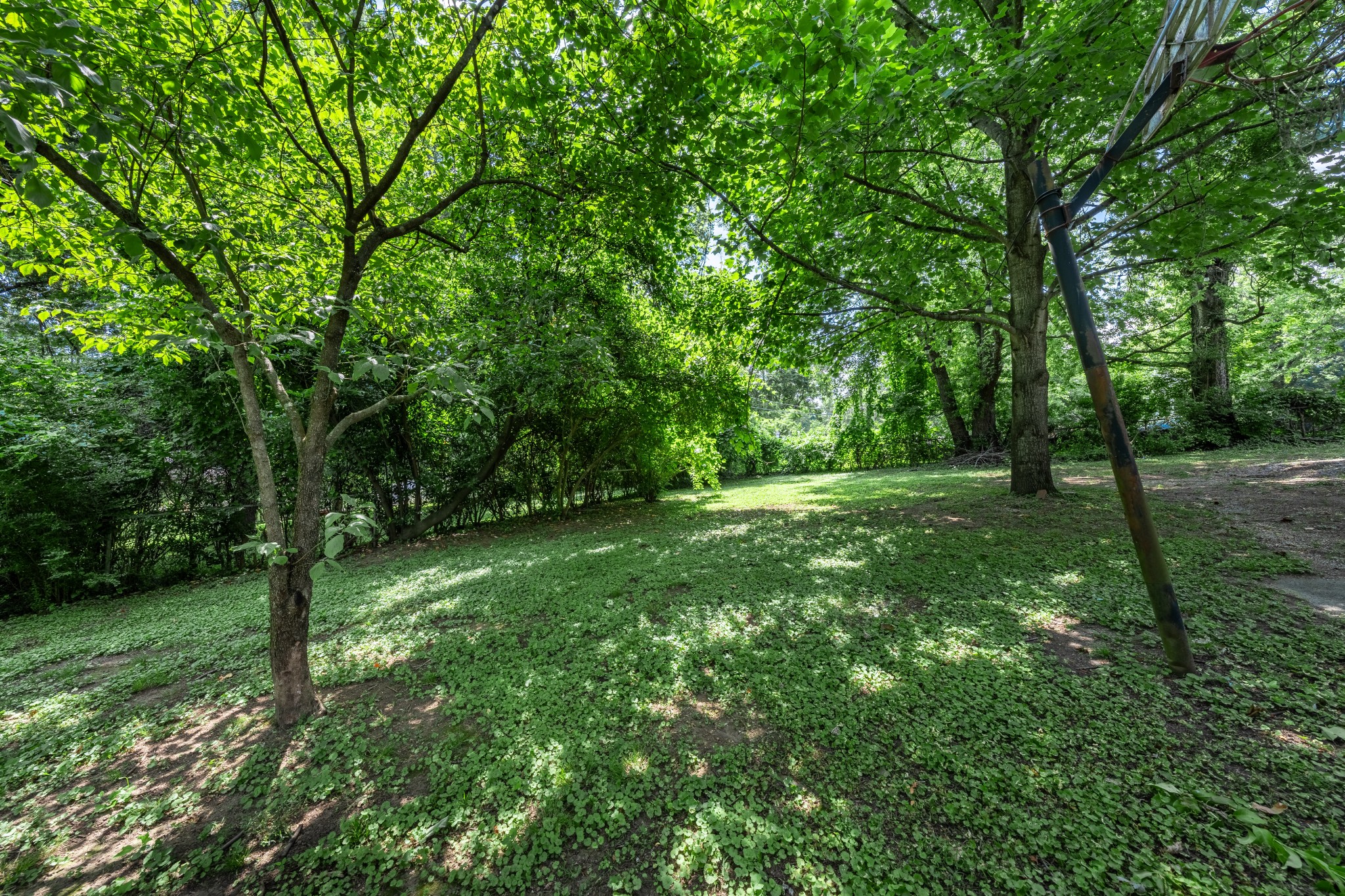 3508 Robin Road Nashville, TN 37204 - Photo 6 of 32 a view of outdoor space with a garden
