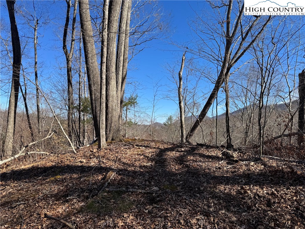 Misty Mountain Road Warrensville, NC 28693 - Photo 1 of 16 Gallery Image 1