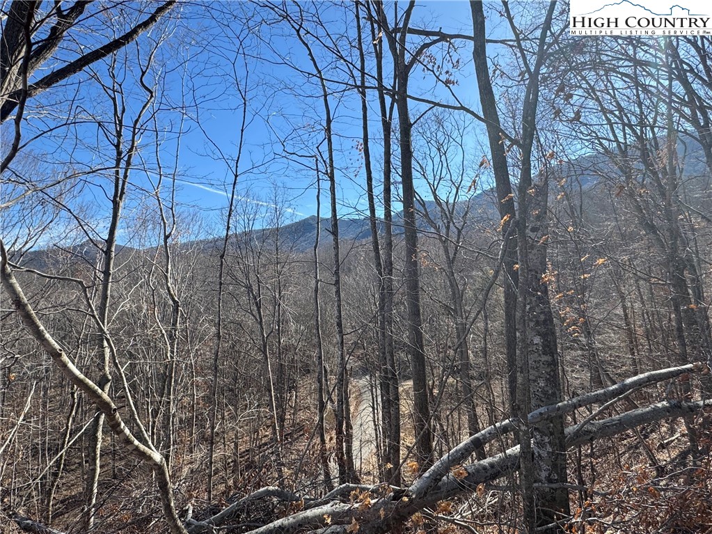 Misty Mountain Road Warrensville, NC 28693 - Photo 11 of 16 Gallery Image 11