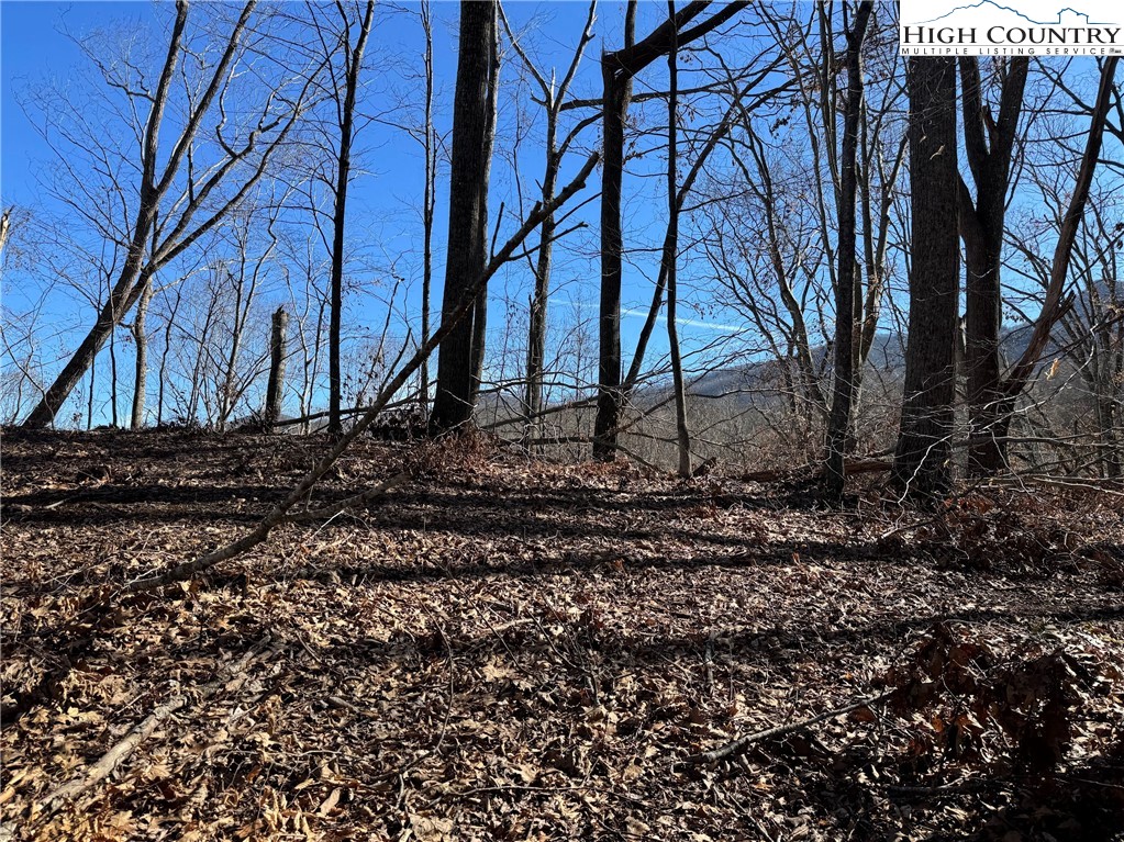 Misty Mountain Road Warrensville, NC 28693 - Photo 13 of 16 Gallery Image 13