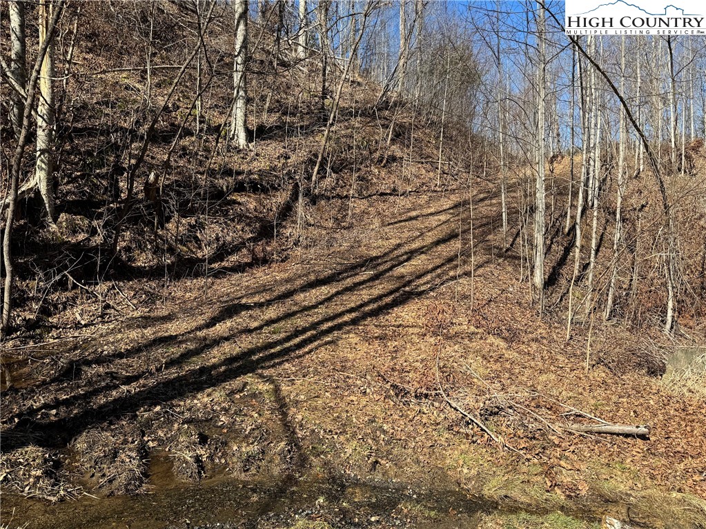Misty Mountain Road Warrensville, NC 28693 - Photo 3 of 16 Gallery Image 3