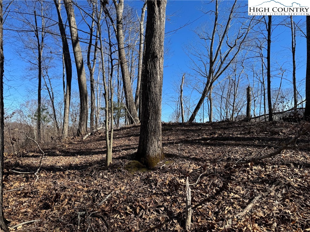 Misty Mountain Road Warrensville, NC 28693 - Photo 8 of 16 Gallery Image 8