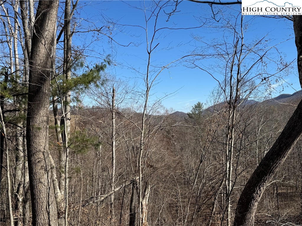 Misty Mountain Road Warrensville, NC 28693 - Photo 10 of 16 Gallery Image 10