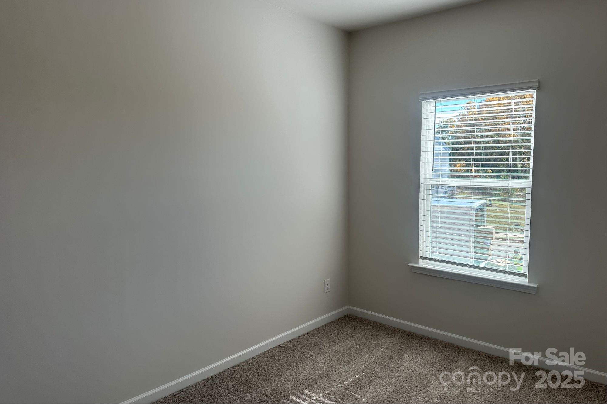 6009 Jasmine Br Road Charlotte, NC 28216 - Photo 21 of 28