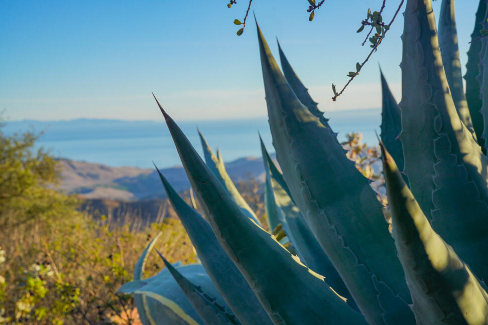 2111 Refugio Road Goleta, CA 93117 - Photo 3 of 12 DSC02911