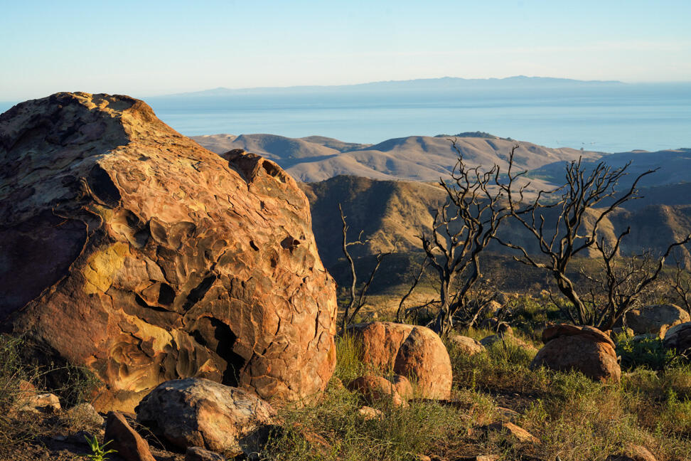 2111 Refugio Road Goleta, CA 93117 - Photo 4 of 12 DSC02914