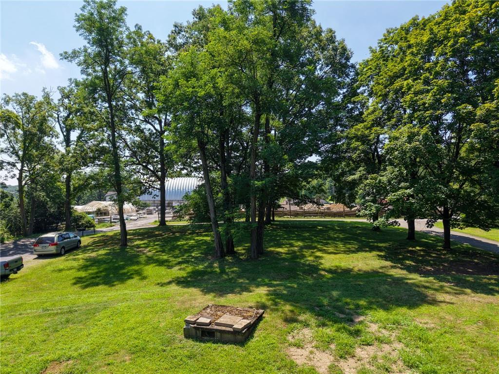 101 Ziegler Street Mars, PA 16046 - Photo 18 of 29 a view of a backyard with large trees