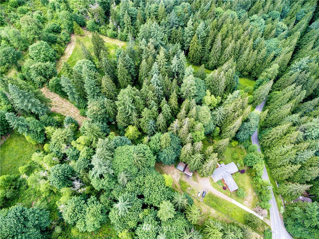 11003 Fay Road Northeast Carnation, WA 98014 - Photo 3 of 25 an aerial view of residential houses with outdoor space and trees