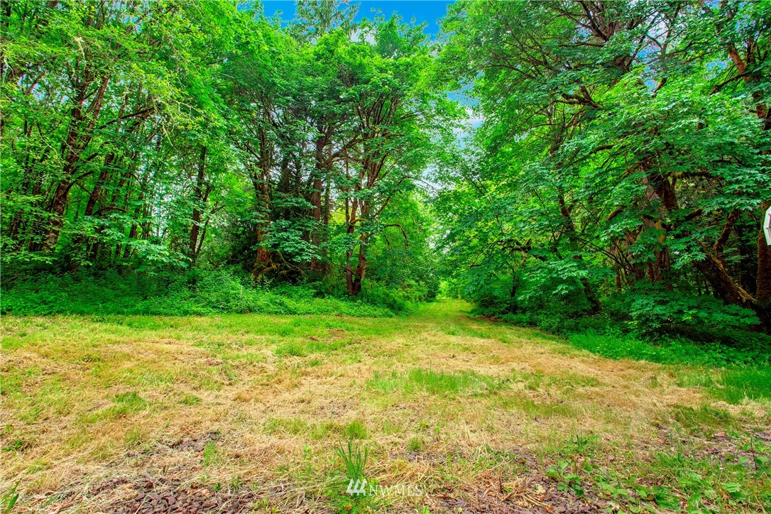 11003 Fay Road Northeast Carnation, WA 98014 - Photo 22 of 25 a view of a yard with a trees