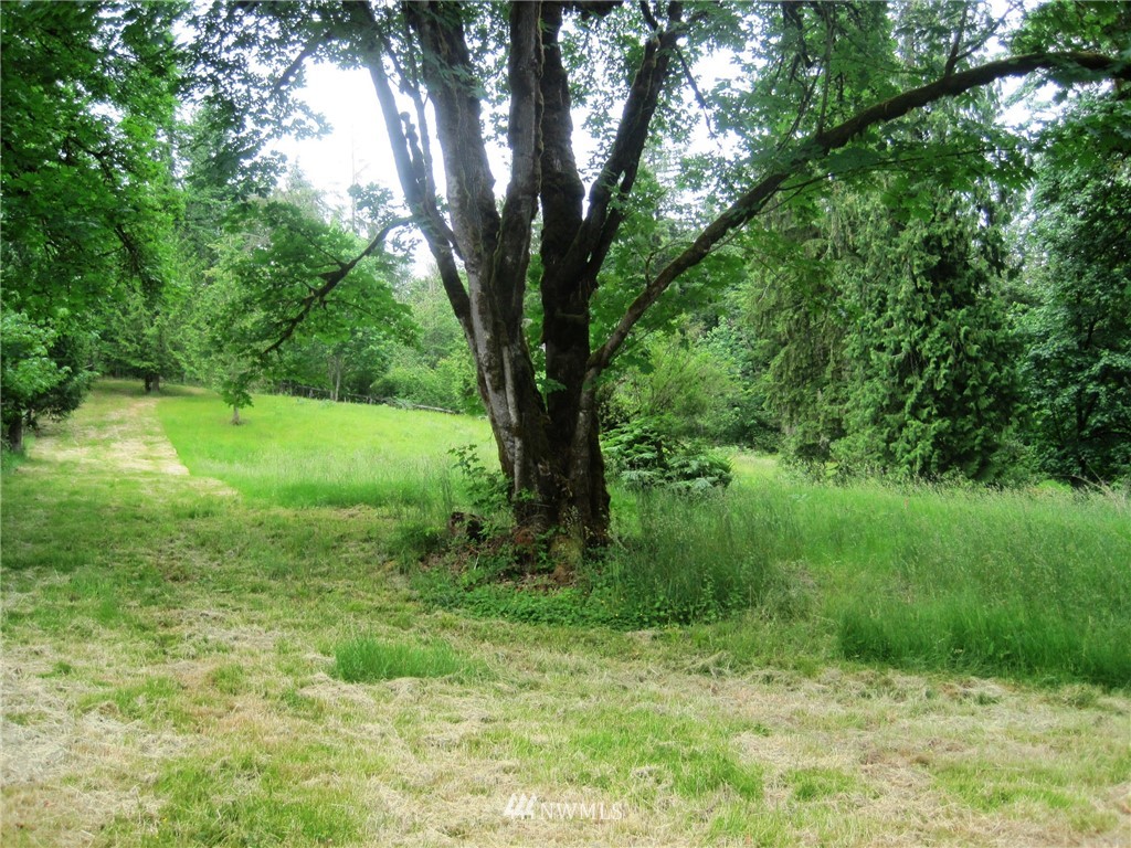 11003 Fay Road Northeast Carnation, WA 98014 - Photo 23 of 25 a view of outdoor space and yard