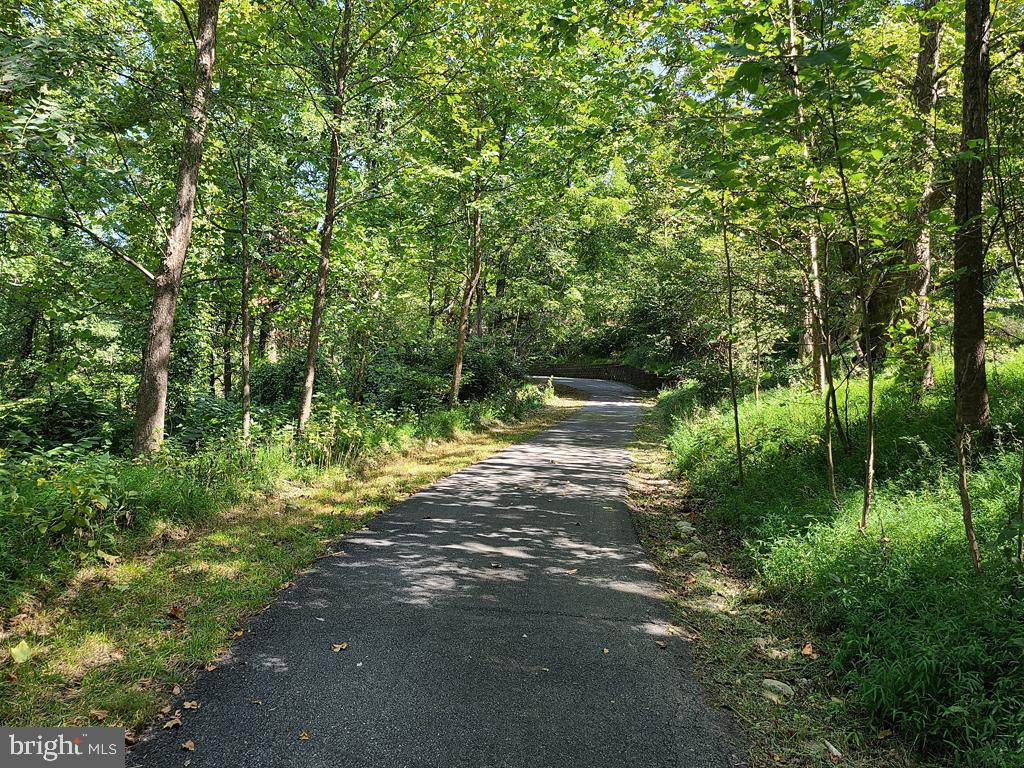 1245 Khyber Pass Road Linden, VA 22642 - Photo 2 of 55 Paved driveway through the 3.2 acre lot