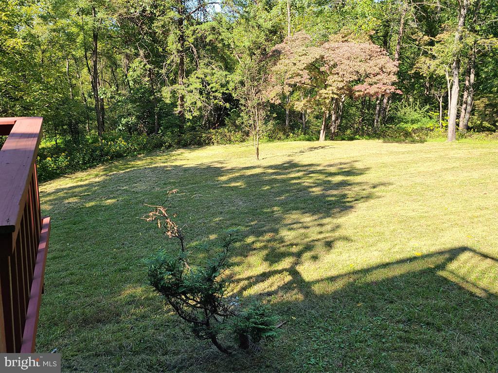 1245 Khyber Pass Road Linden, VA 22642 - Photo 20 of 55 Back yard