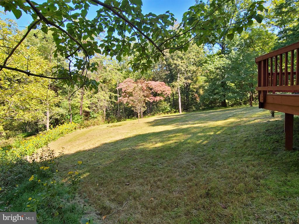 1245 Khyber Pass Road Linden, VA 22642 - Photo 21 of 55 Back yard