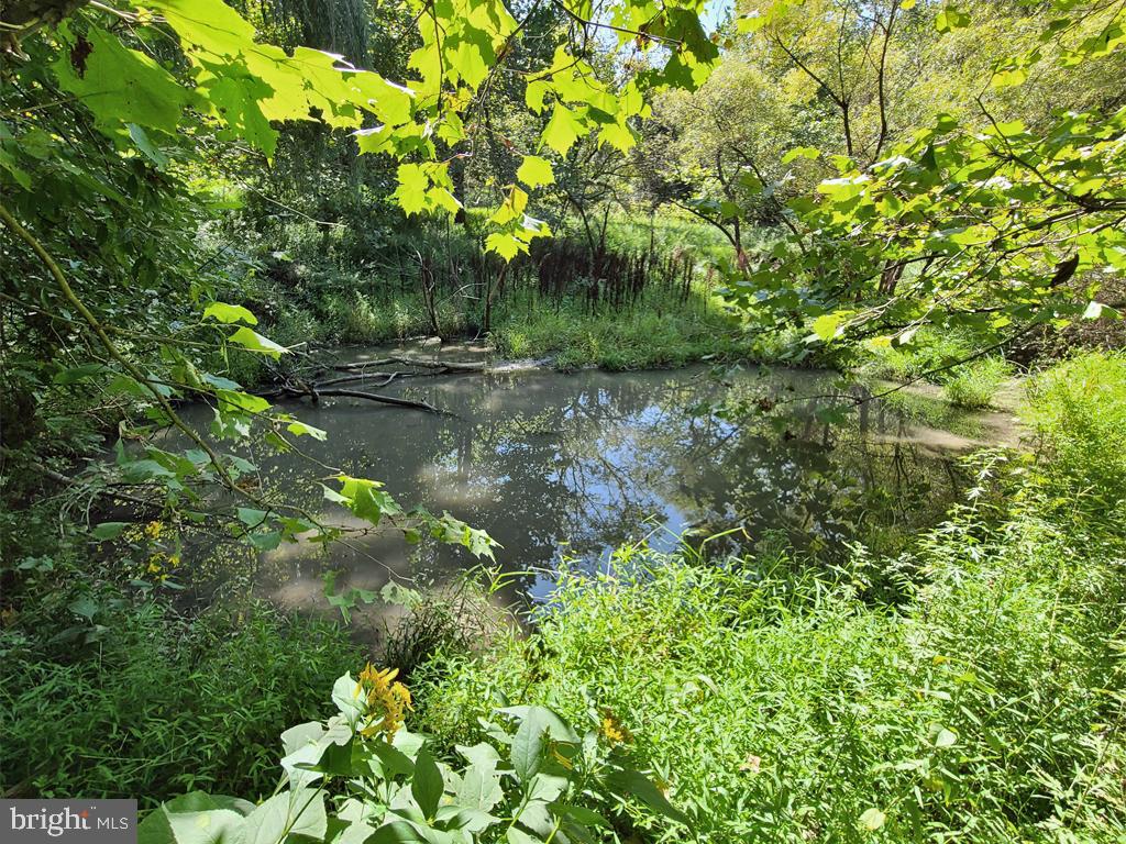 1245 Khyber Pass Road Linden, VA 22642 - Photo 22 of 55 Small pond, not maintained