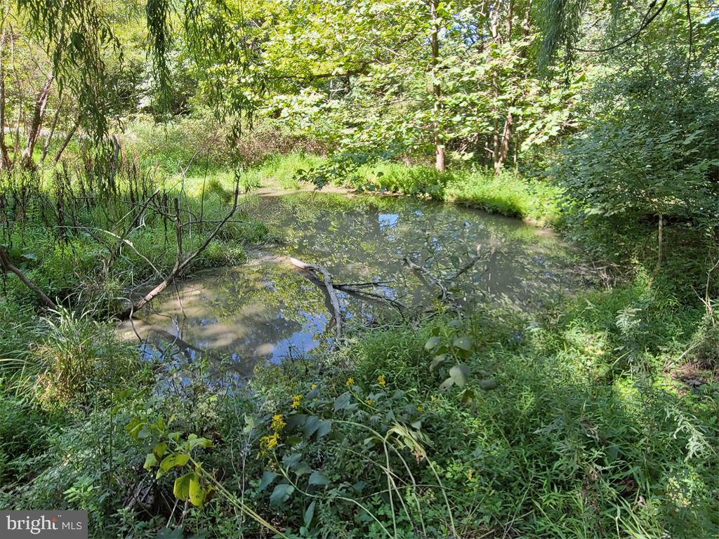 1245 Khyber Pass Road Linden, VA 22642 - Photo 23 of 55 Pond needs work, could be an attractive feature