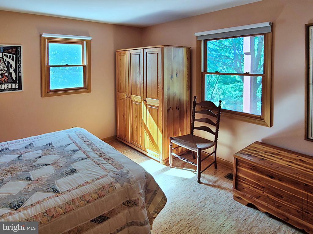1245 Khyber Pass Road Linden, VA 22642 - Photo 35 of 55 Main level, bedroom 2