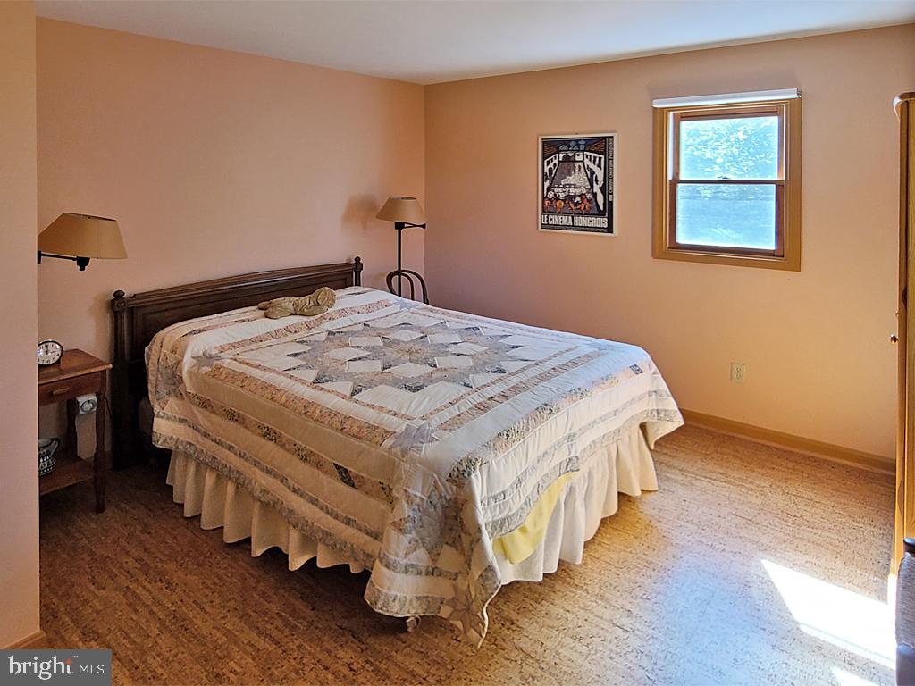 1245 Khyber Pass Road Linden, VA 22642 - Photo 36 of 55 Main level, bedroom 2