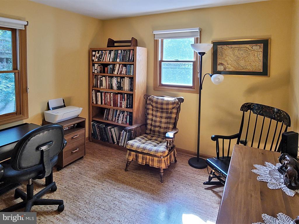 1245 Khyber Pass Road Linden, VA 22642 - Photo 39 of 55 Main level, bedroom 3 (used as office/TV room)