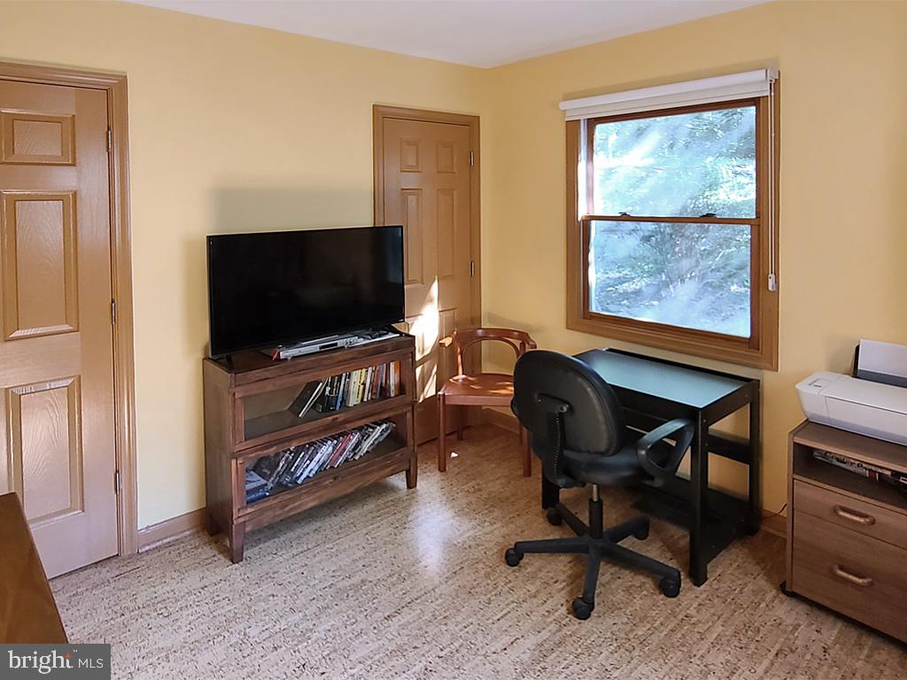 1245 Khyber Pass Road Linden, VA 22642 - Photo 40 of 55 Main level, bedroom 3 (used as office/TV room)