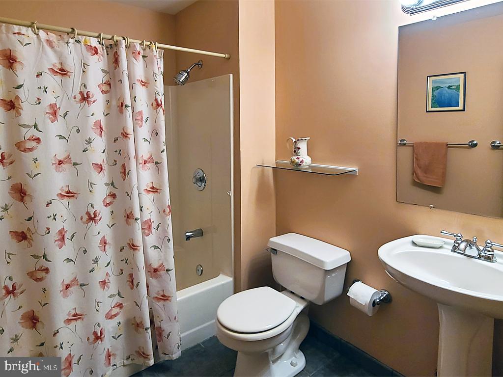 1245 Khyber Pass Road Linden, VA 22642 - Photo 41 of 55 Main level bathroom