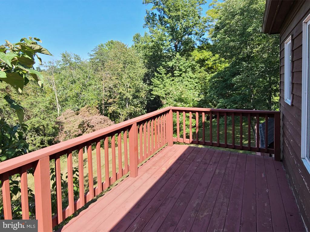 1245 Khyber Pass Road Linden, VA 22642 - Photo 46 of 55 Master bedroom private deck