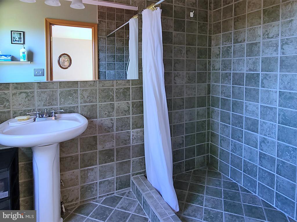 1245 Khyber Pass Road Linden, VA 22642 - Photo 48 of 55 Master bathroom, large walk-in all-tile shower