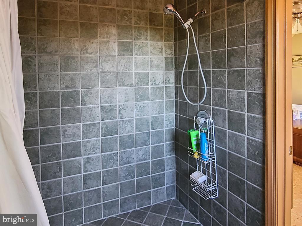 1245 Khyber Pass Road Linden, VA 22642 - Photo 49 of 55 Master bathroom, large walk-in all-tile shower