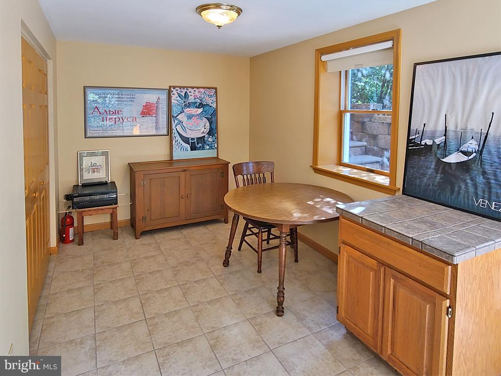 1245 Khyber Pass Road Linden, VA 22642 - Photo 53 of 55 Family room, large storage closet on left