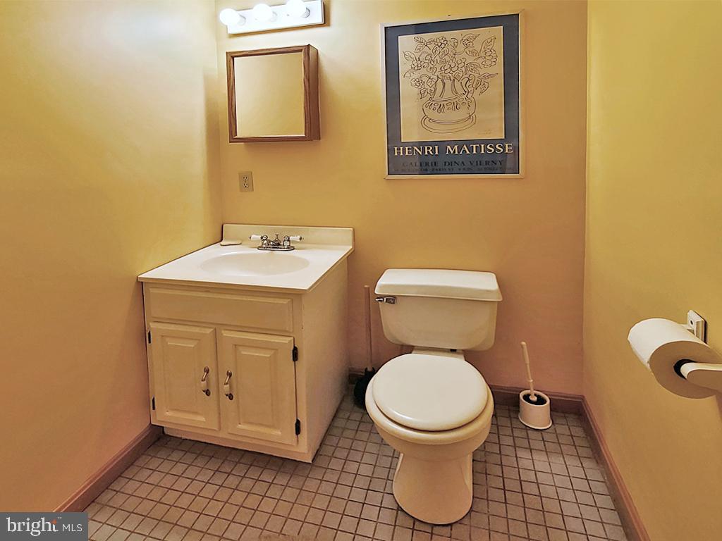 1245 Khyber Pass Road Linden, VA 22642 - Photo 54 of 55 Lower level bathroom (also has shower stall)