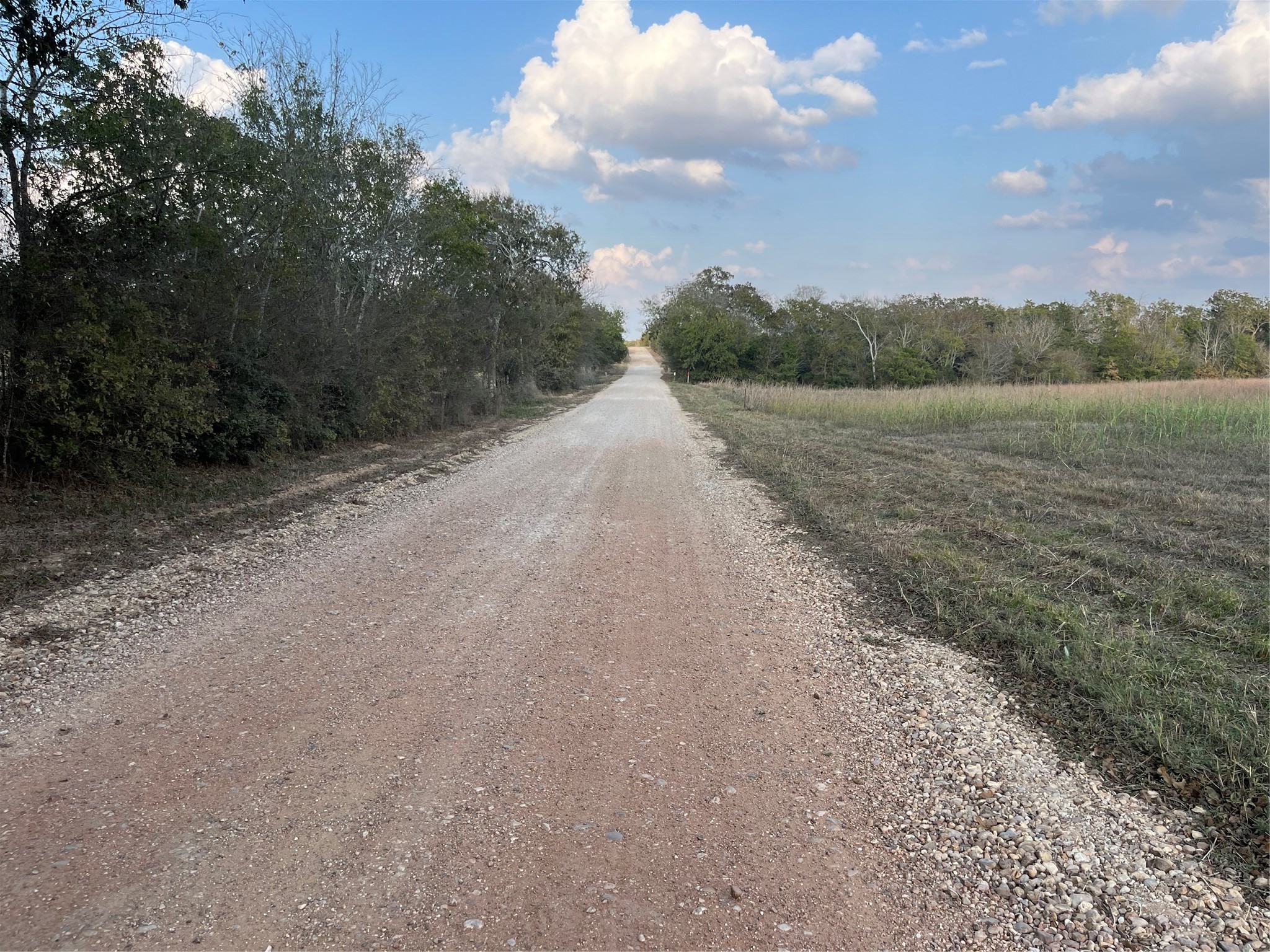 0 Squirrel Road New Ulm, TX 78950 - Photo 4 of 4 a view of a dry yard with trees