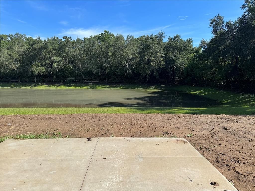19 Northwest 45th Loop Ocala, FL 34475 - Photo 26 of 28 a view of a yard with an trees