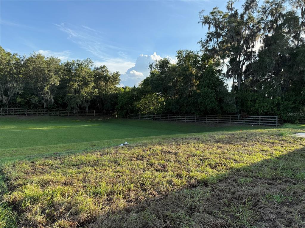 19 Northwest 45th Loop Ocala, FL 34475 - Photo 28 of 28 a view of a garden with a tree