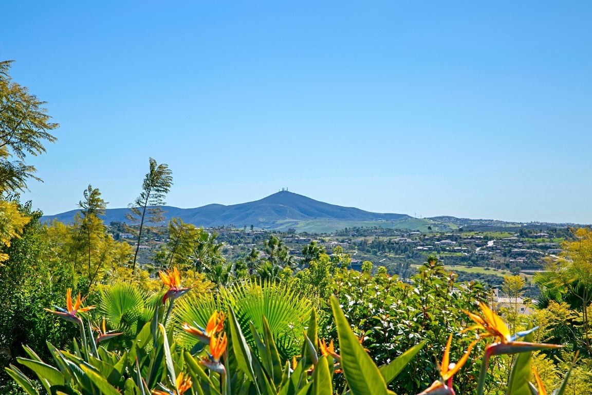 7546 Vista Rancho Court Rancho Santa Fe, CA 92091 - Photo 11 of 13