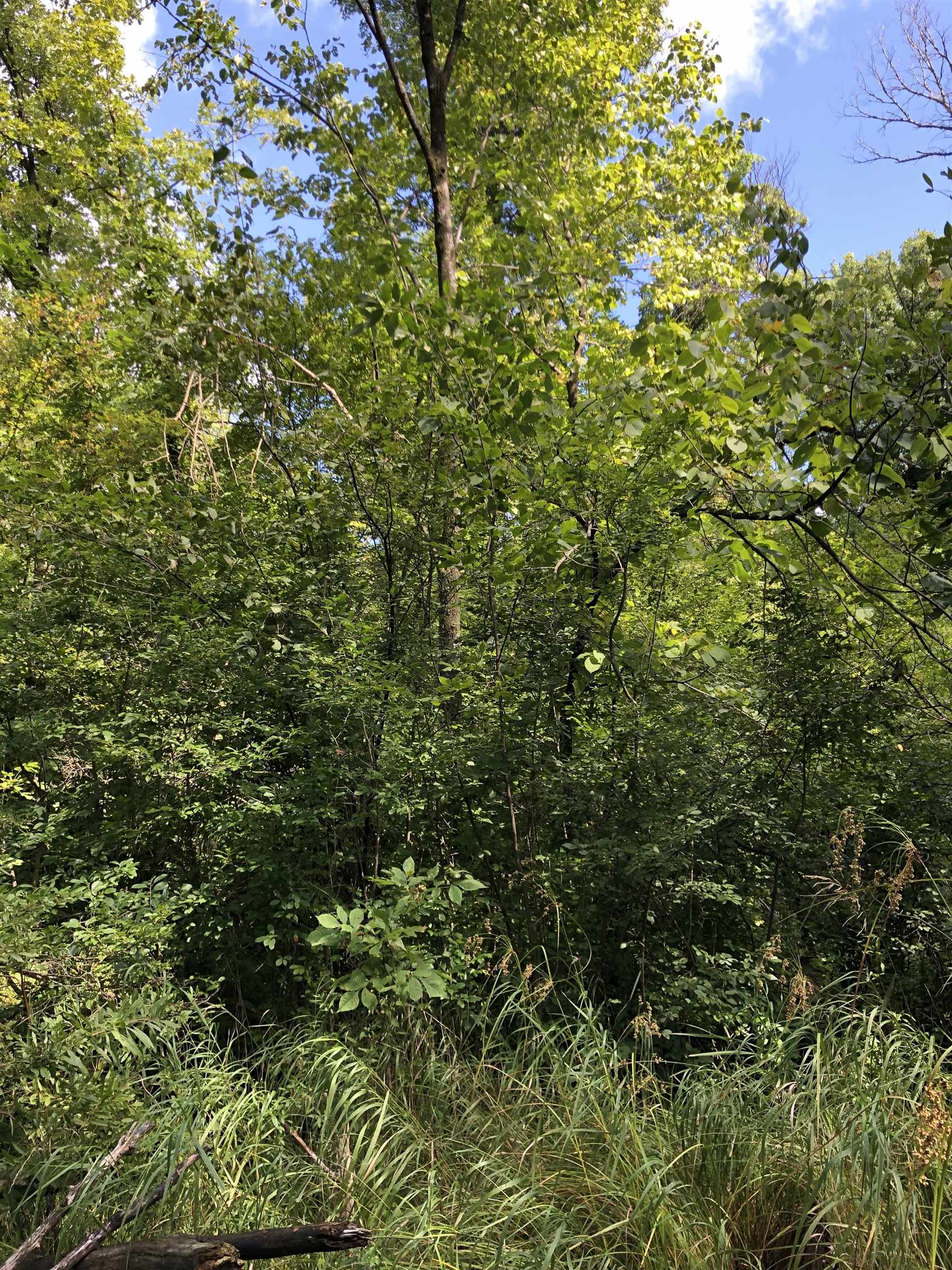 West Gordonville Road Midland, MI 48640 - Photo 8 of 12 50119406-7.JPG
