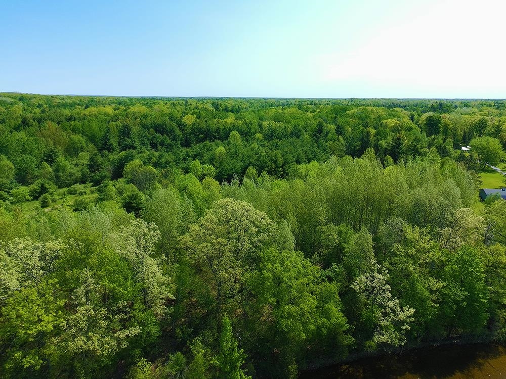 V/l Bass Lake Road Lupton, MI 48635 - Photo 13 of 15