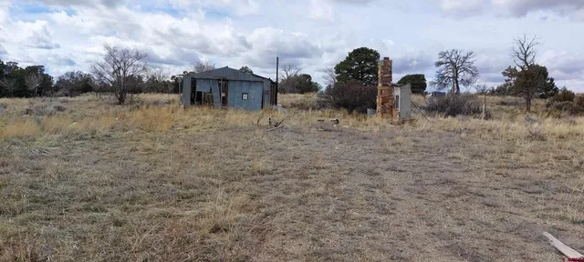 a view of a dry yard with wooden fence