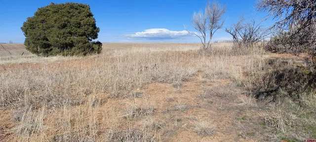a view of a backyard of the house