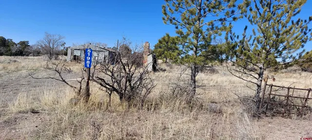 a view of bridge and trees