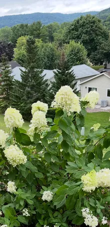 $612,000 | 203 Eagles Bluff Road, La Crescent, MN 55947
