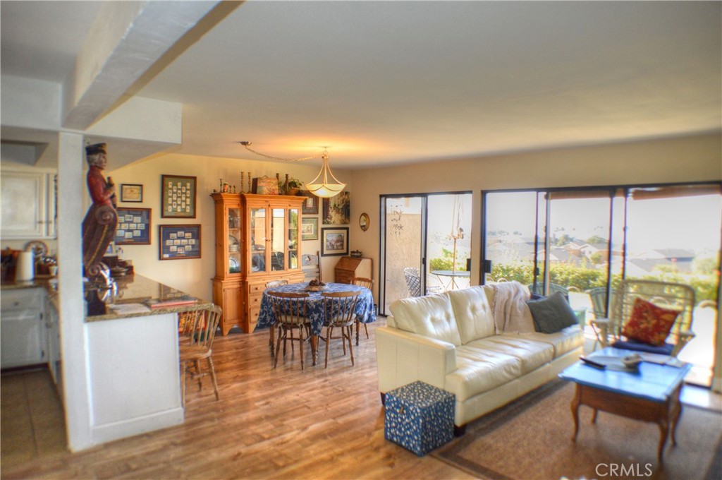 146 Avenida Baja San Clemente, CA 92672 - Photo 14 of 41 a living room with furniture and a large window