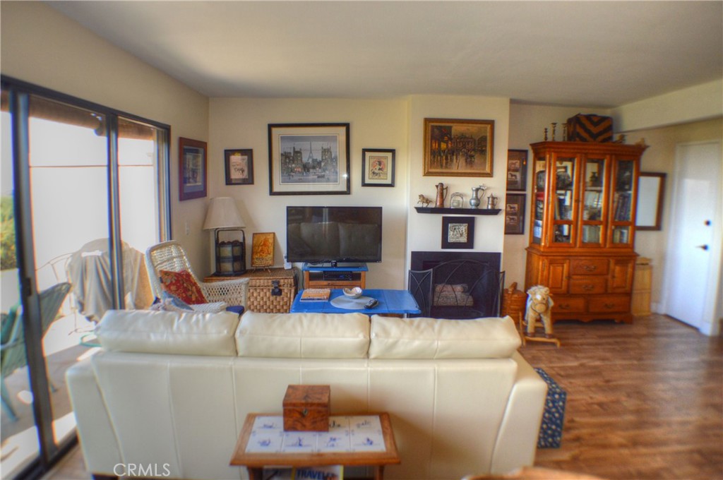 146 Avenida Baja San Clemente, CA 92672 - Photo 17 of 41 a living room with furniture and a flat screen tv