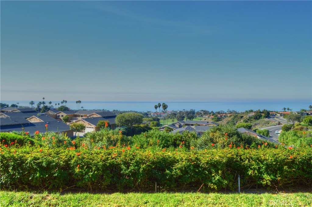 146 Avenida Baja San Clemente, CA 92672 - Photo 18 of 41 view of a bunch of trees and bushes