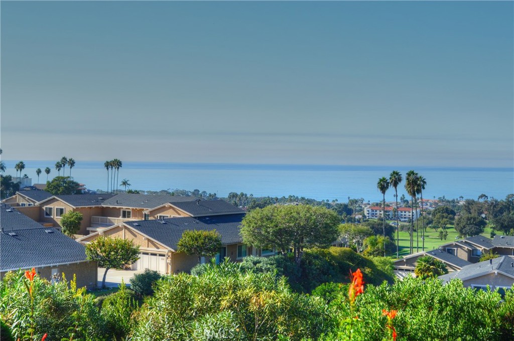 146 Avenida Baja San Clemente, CA 92672 - Photo 22 of 41 an aerial view of a house with outdoor space