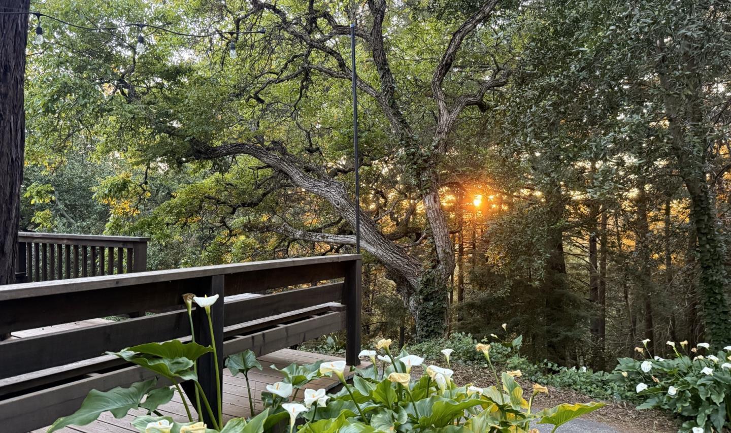 50 Ocean View Road Los Gatos, CA 95033 - Photo 4 of 70