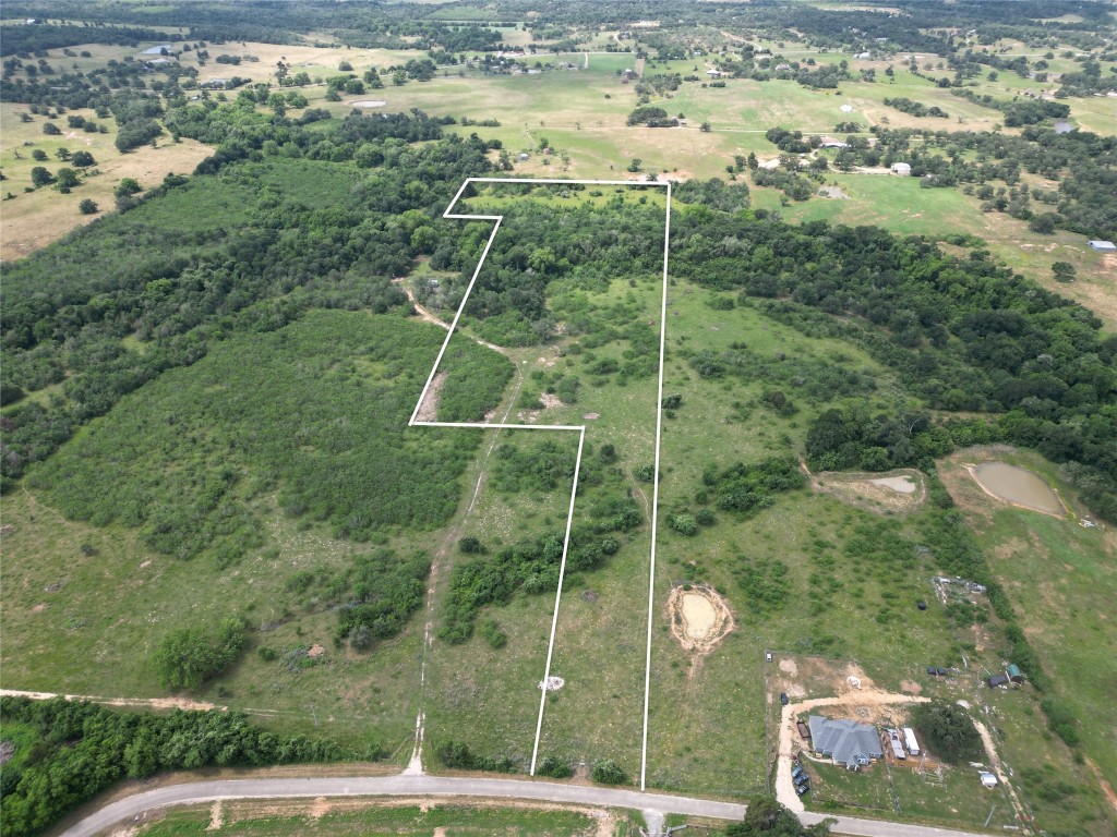 285 Watterson School Road Red Rock, TX 78662 - Photo 2 of 8 a view of a yard with a tree