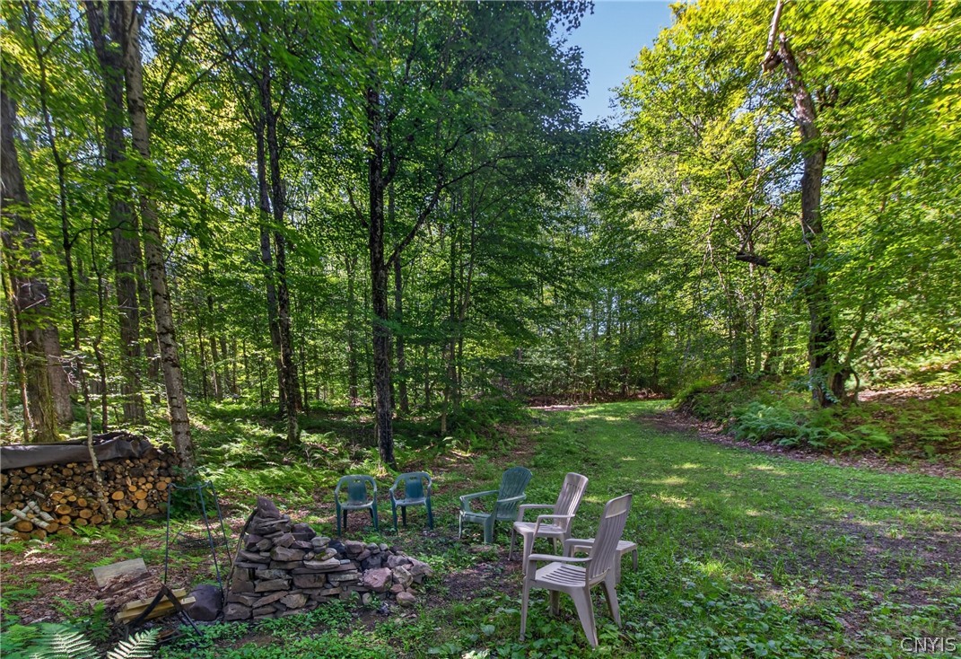0 Fishermans Bridge Road Camden, NY 13316 - Photo 4 of 43 Gallery Image 4